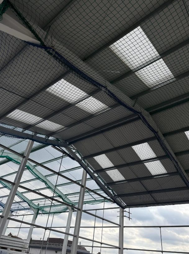Roof sheeting and rooflights from below
