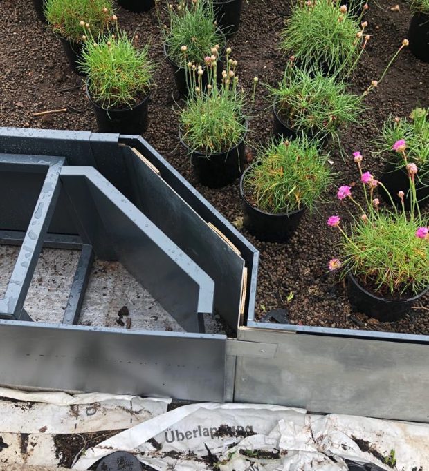 Edge trims on a green roof